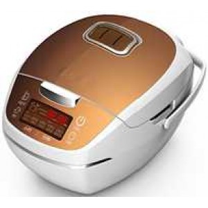 Rice Cooker SGF-DFB0001